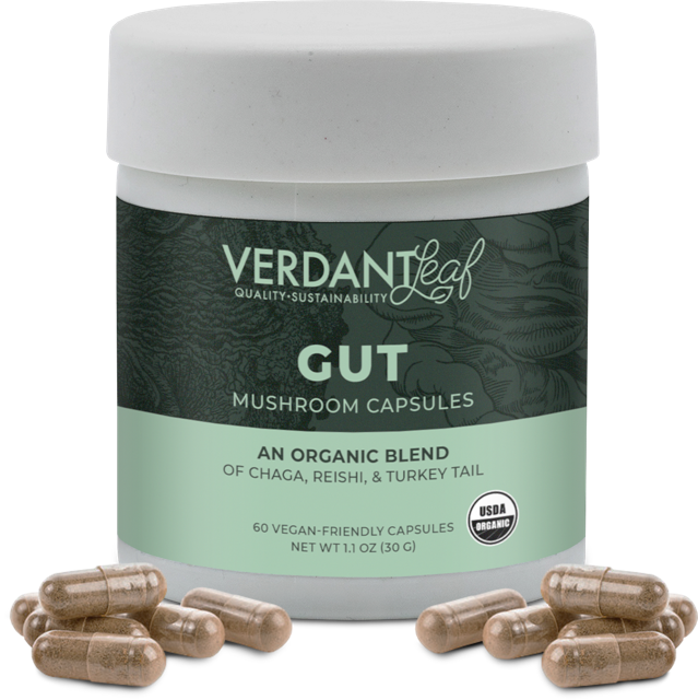 Gut Mushroom Capsules